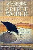 Awakening To The Spirit World The Shamanic Path Of Direct Revelation English Edition