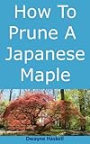 How To Prune A Japanese Maple A Homeowners Guide English Edition