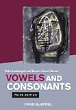 Vowels And Consonants English Edition