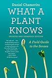 What A Plant Knows A Field Guide To The Senses English Edition