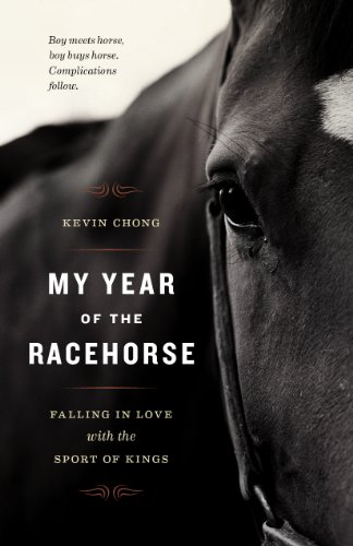 My Year of the Racehorse book cover