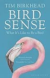 Bird Sense What Its Like To Be A Bird English Edition