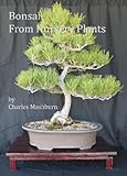 Bonsai From Nursery Plants English Edition