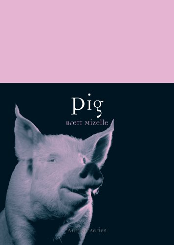 Pig (By: Brett Mizelle) cover