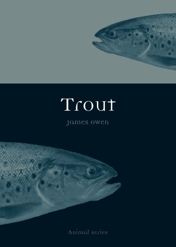 Trout book cover