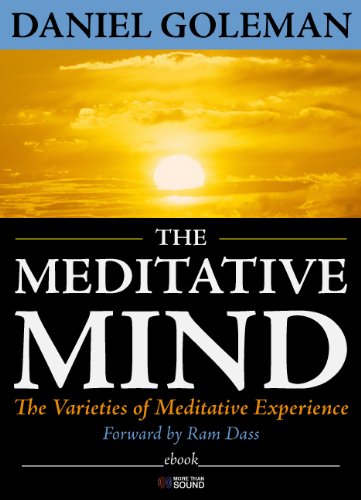 The Meditative Mind book cover