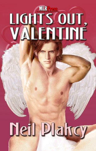 Lights Out Valentine book cover