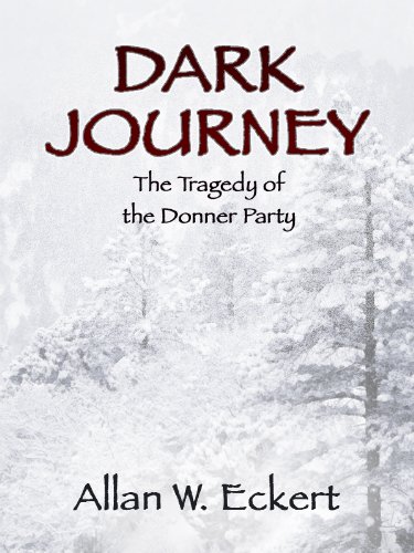 Dark Journey book cover