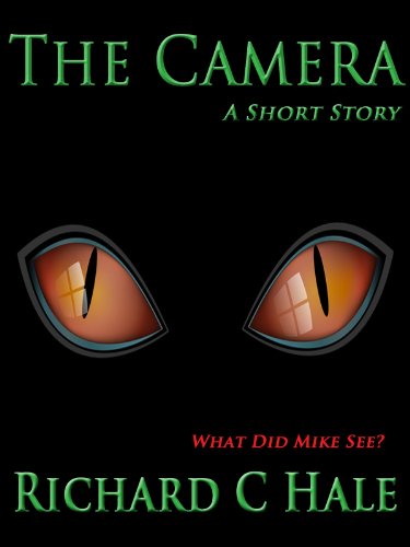The Camera book cover