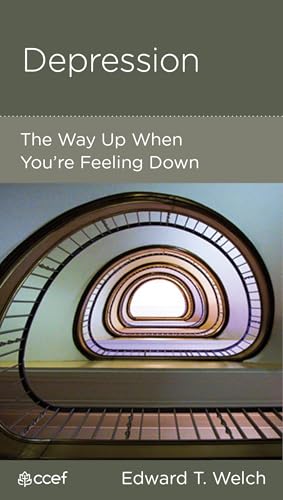 Depression: The Way Up When You Are Down book cover