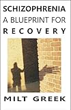 Schizophrenia A Blueprint For Recovery English Edition