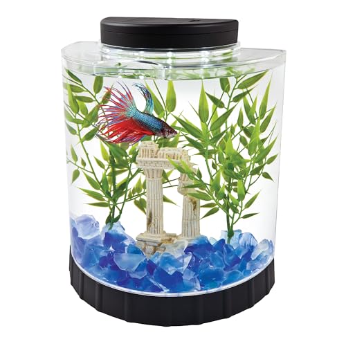 Tetra 1 Gallon Half Moon Small Fish Tank w/ Movable LED Light, For Betta & Gold Fish, Aquarium