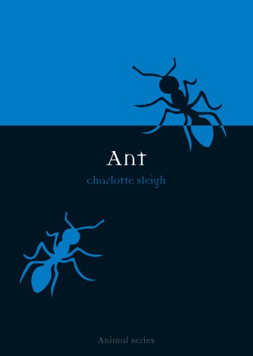 Ant book cover