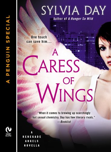 A Caress of Wings book cover
