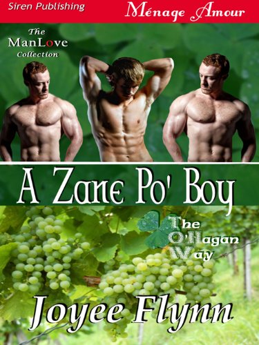A Zane Po' Boy book cover