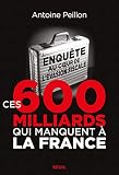 Ces 600 Milliards Qui Manquent La France Enqute Au Coeur De Lvasion Fiscale Histoire