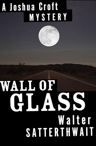 Wall of Glass book cover