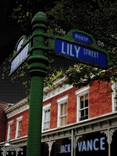 The House on Lily Street book cover