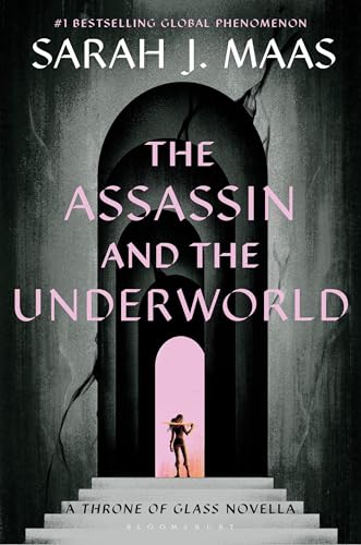 The Assassin and the Underworld book cover