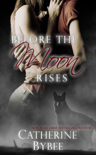 Before The Moon Rises book cover