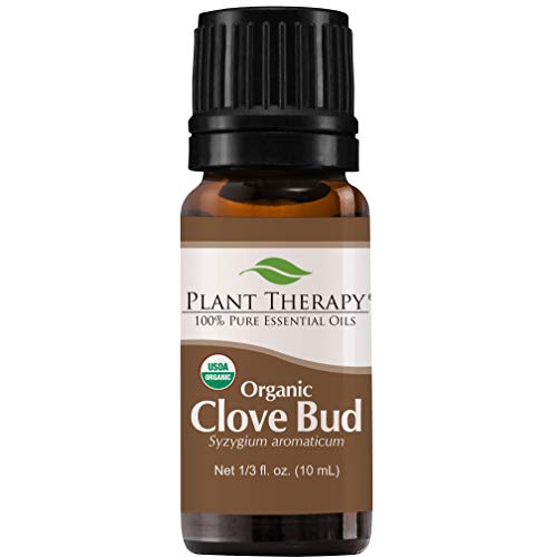 Plant Therapy Organic Clove Bud Essential Oil 100% Pure, USDA Certified Organic, Undiluted, Natural Aromatherapy, Therapeutic Grade 10 mL (⅓ oz)