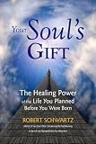 Your Souls Gift The Healing Power Of The Life You Planned Before You Were Born English Edition