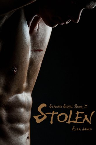Stolen book cover