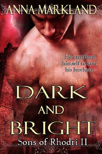 Dark and Bright book cover