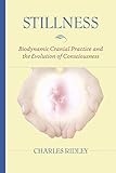 Stillness Biodynamic Cranial Practice And The Evolution Of Consciousness English Edition