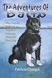The Adventures Of Balto The Untold Story Of Alaskas Famous Iditarod Sled Dog