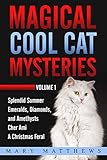 Magical Cool Cats Mysteries Volume 1 English Edition