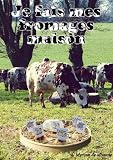Je Fais Mes Fromages Maison Fait La Maison T 1