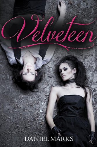 Velveteen book cover