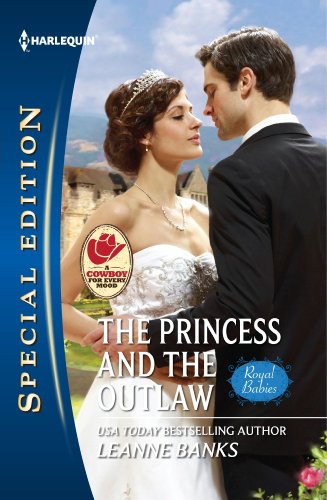 The Princess and the Outlaw book cover