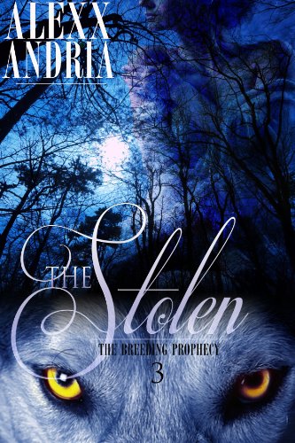 The Stolen book cover