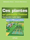 Ces Plantes Qui Gurissent Lhabitat