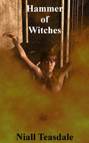 Hammer of Witches book cover