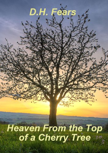 Heaven from the Top of a Cherry Tree book cover