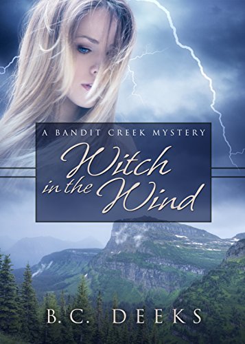 Witch in the Wind book cover