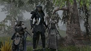 The Elder Scrolls Online