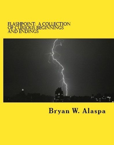 Flashpoint book cover