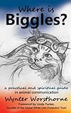 Where Is Biggles English Edition