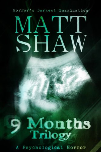 9 Months Trilogy book cover