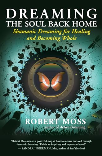 Dreaming The Soul Back Home book cover