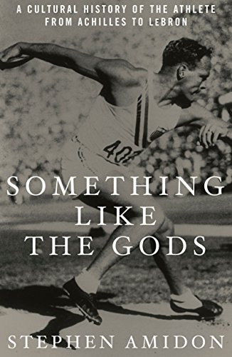 Something Like the Gods book cover