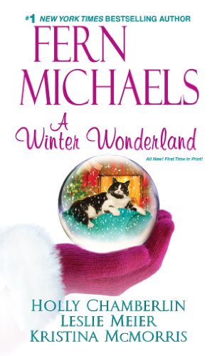 A Winter Wonderland book cover