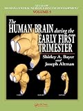 The Human Brain During The Early First Trimester Atlas Of Human Central Nervous System Development Book 5 English Edition
