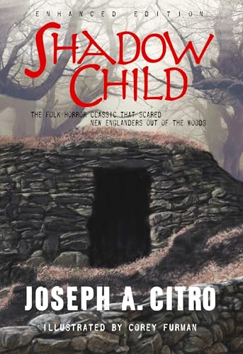 Shadow Child book cover