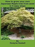 How To Grow Your Own Japanese Maple Tree From Seeds In 5 Easy Steps English Edition