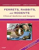 Ferrets Rabbits And Rodents Ebook Clinical Medicine And Surgery English Edition